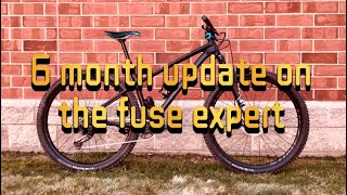 6 MONTH UPDATE ON THE 2022 FUSE EXPERT [upl. by Lenard]