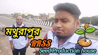 মথুরাপুর বীজ উৎপাদন কেন্দ্র ভ্রমণ  Mathurapur kvk Rrss Seed research Kendra visit [upl. by Anec]