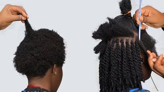 PART 2 Fast Hair Growth With Mini Twists Extension  4Month Lasting Results Tutorial [upl. by Ennovahc741]