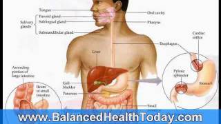 Liver and Gallbladder Flush Directions Part 1 [upl. by Martell]