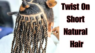 Twists On Short Natural Hair Tutorial For Beginners 2024 [upl. by Verneuil421]