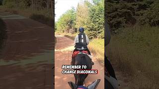 🐎What Do You Do❓ horse trailriding horseriding equestrian endurancehorse horsevlog gopro [upl. by Sjoberg]