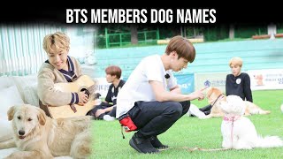 BTS 방탄소년단 BTS Members Dog Names BTS Members Playing With Dog  Bangtan Army [upl. by Virgilia918]