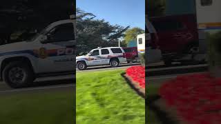 Nassau County police mounted unit recorded by cousin [upl. by Esinehc]