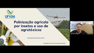 POLINIZAÇÃO AGRÍCOLA POR INSETOS E USO DE AGROTÓXICOS [upl. by Elvina]