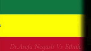 DrAsefa Negash Vs ethnic Federalism P3 [upl. by Clawson]