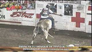 Malacrianza en Zapote [upl. by Neret321]