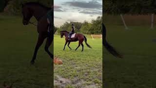 FIRST TIME CANTERING OWEN IN ENGLISH🤩 READY FOR OUR FIRST RIDING SHOW TOGETHER NEXT WEEK❤️ [upl. by Audie10]