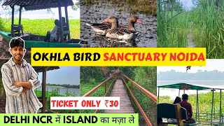 Okhla Bird Sanctuary Noida  Best place for Couples in Delhi NCR  Bird Sanctuary Noida [upl. by Lee906]