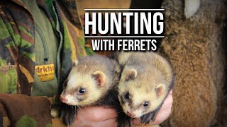 Hunting with Ferrets  TAOutdoors [upl. by Eillehs827]