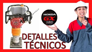 APISONADOR 55 hp MOTOR HONDA GX160 👷🔝 [upl. by Rosy]