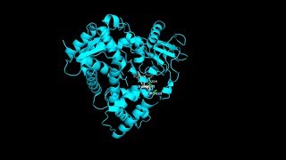 Flurbiprofen Structure and Uses [upl. by Clabo]