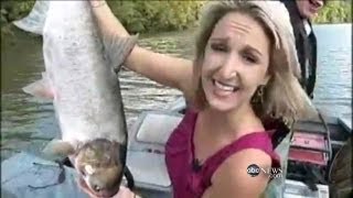 TV News Blooper Carp Takes Down Reporter [upl. by Tirzah]