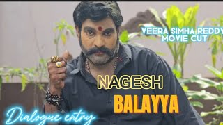 veera Simha Reddy Movie Cut 🦁🎬 viralvideo trending balayyamass movie [upl. by Warfeld]