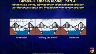 Stress as it Relates to the Development of Psychiatric Disorders [upl. by Euqinay]