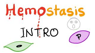 Hemostasis  How your blood clots  Overview [upl. by Noda]