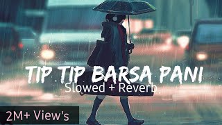 Tip Tip Barsa Pani Slowed amp Reverbed  Mohra  Alka Yagnik amp Udit Narayan  MrMelody [upl. by Nyrehtac303]