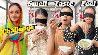 Smell Taste And Feel Challenge 😆 With Siblings [upl. by Iruj]