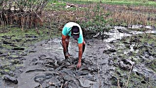 MUITO PEIXE PRA POUCA ÁGUA1 [upl. by Wildon]