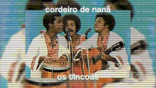 ｃｏｒｄｅｉｒｏ ｄｅ ｎａｎã － ｏｓ ｔｉｎｃｏãｓ  lofi remix [upl. by Aneekahs635]