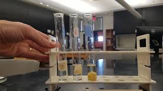 Lab 14 Enzyme activity experiment [upl. by Mariandi]