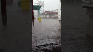 Torrential Downpour in Langebaan [upl. by Bonney]