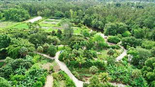 This Legendary Florida Farm Has Changed The Way We Grow Food [upl. by Adala]