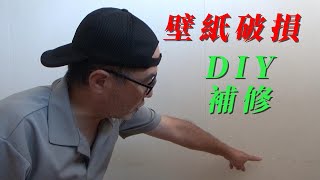 DIY 壁紙 破損 空家 補修工事 リフォーム 一戸建て 賃貸 マンション [upl. by Lippold939]