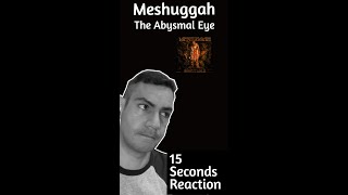 Meshuggah  The Abysmal Eye  15 Seconds reaction [upl. by Duval]