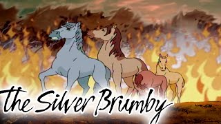 The Silver Brumby Fire amp Golden Goes Home 🐎  HD FULL EPISODES [upl. by Kleon]