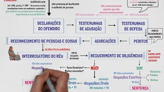 Audiência de Instrução e Julgamento  PROCESSO e PROCEDIMENTOS em PROCESSO PENAL  Aula 06 [upl. by Erdnad]