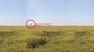 Showing RBS70 MANPADS Shooting Down Russian Ka52 Helicopter [upl. by Willy]