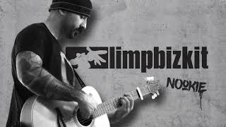 Limp Bizkit  Nookie Acoustic Cover [upl. by Fenwick]