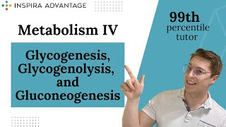 MCAT Bites Metabolism IV Glycogenesis Glycogenolysis and Gluconeogenesis  Inspira Advantage [upl. by Philbrook]