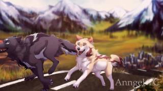 Anime Wolves  Wild Things [upl. by Ardaed631]