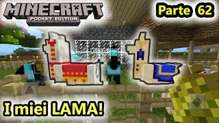 Minecraft PE  Portiamo a casa i LAMA  Salvo Pimpos [upl. by Arny385]