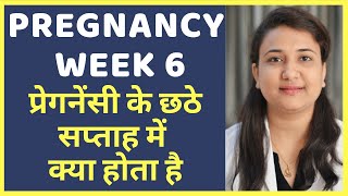 प्रेगनेंसी का छठा सप्ताह  PREGNANCY WEEK 6 [upl. by Kifar911]