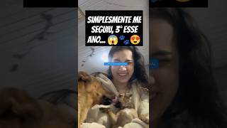 FILHOTINHO SEGUE JOVEM QUE RESOLVE ADOTAR cachorro adote resgate rescue dog pets amor ong [upl. by Euqor840]