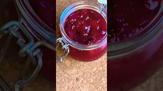 Sweet and sour Plum Chutney viralshort foodblogger easyrecipe yummy [upl. by Oicnevuj]