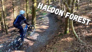 Haldon Forest  Red and Blue Descents [upl. by Faro452]