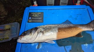 Bass fishing in the Menai Straits [upl. by Arteid969]