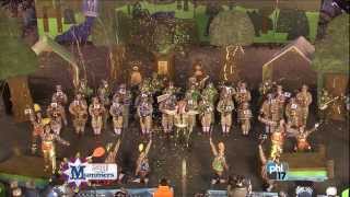 Broomall String Band Mummers 2014 [upl. by Atirres508]