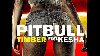 Pitbull Ft Kesha  Timber Instrumental Remake With Lyrics [upl. by Solokin]