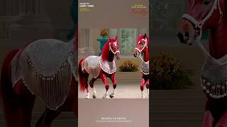 Alin wolker prolilas horse funny [upl. by Nimaj]