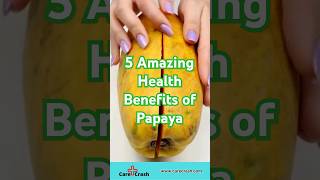 5 Amazing Health Benefits of Papaya 🍈  CareCrash [upl. by Arrotal751]