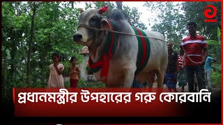 প্রধানমন্ত্রীর উপহারের গরু কোরবানি  Asian News [upl. by Assek]