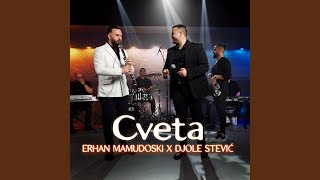 Cveta Cover [upl. by Aicirtap213]