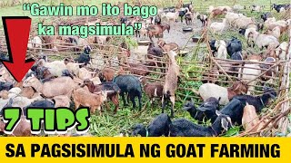 Goat Farming🐐 7 Tips Sa Pagsisimula Ng Goat Farm  BACKYARD FARMING [upl. by Kampmann]