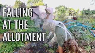 THEY JUST DIDNT WORK  ALLOTMENT GARDENING FOR BEGINNERS [upl. by Arrio]