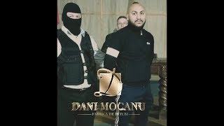 Dani Mocanu  Familie Frumoasa  Official Audio [upl. by Ennayd]